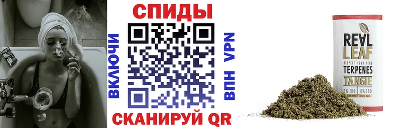 Бутират буратино  Выборг 