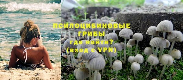 герыч Бородино