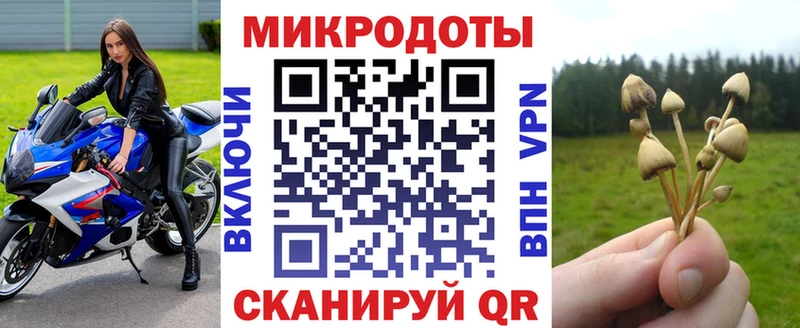 Псилоцибиновые грибы Cubensis  MEGA как войти  Выборг 