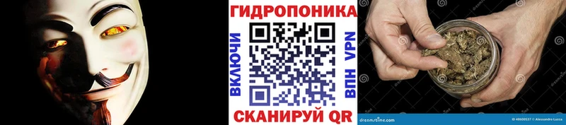 Конопля White Widow  Выборг 